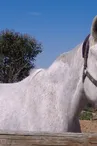 Ranch du Garlaban