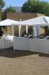 Etoile de la Valentine