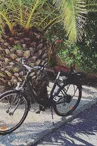 Vélo