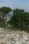 Chaine de l'Etoile