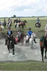 Association du Poney Club Marseille