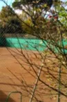Tennis d'Allauch