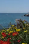 Le Marin Surf Shop_Martigues