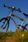 Relais du Bois sacré - Location de vélos