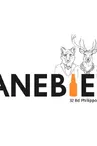 Bar café la Cane Bière à Marseille