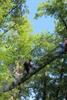 Le bois des lutins