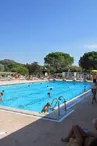 Piscine plan de cuques