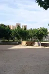 Boulodrome Carénage Vieux Port