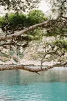 13SN000056_1_HD.jpg