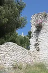 Ancien Castrum