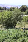 Ferme Terre de Mars Marseille