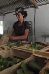 terre ferme  coussac bonneval_1