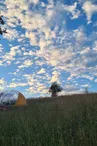 Hébergement insolite - Natorel - Bulle