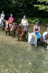 Balade Ecurie Optimum Horses
