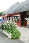Accueil du camping 